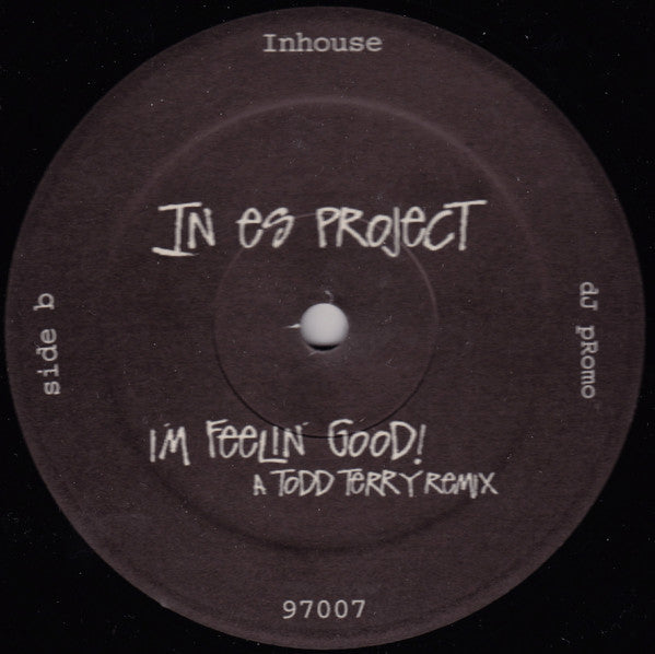 In Es Project - I'm Feelin' Good! | Excellent (EX) Generic - HOUSE / USED *EXCELLENT+*