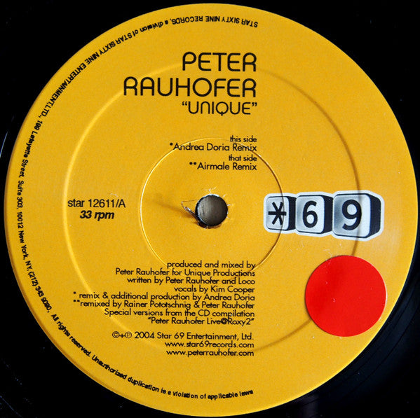 Peter Rauhofer - Unique | Excellent (EX) Excellent (EX) - HOUSE / USED *EXCELLENT+*