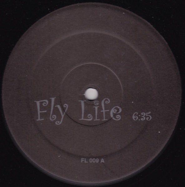 Fly Life / Outside | Excellent (EX) Generic