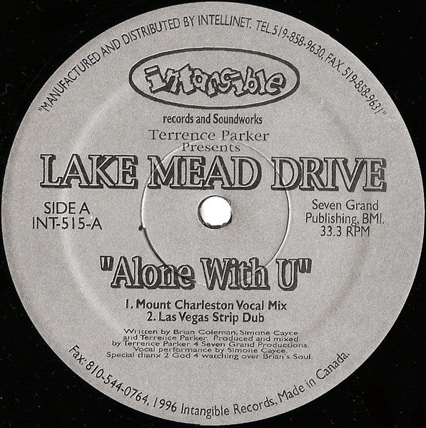 Alone With U (VINYL) | Near Mint (NM) Generic - HOUSE / USED *NEAR MINT*