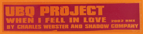 UBQ Project - When I Fell In Love (2002 Rmx)(VINYL 12") | USED Very Good Plus (VG+) Very Good Plus (VG+) - HOUSE / USED *VERY GOOD+*