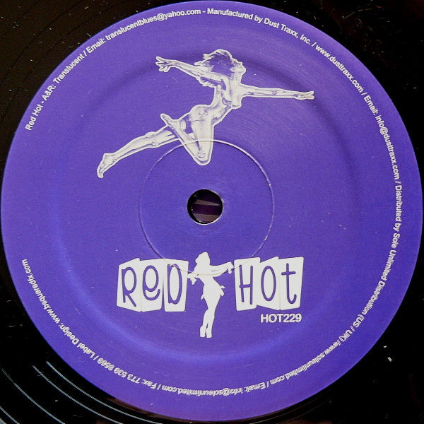 Disco Mania 2 (VINYL) | Very Good (VG) Very Good Plus (VG+) - HOUSE / USED *VERY GOOD*