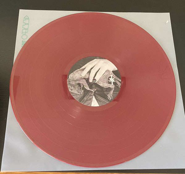 Shake The Feeling - Outtakes And Rarities 2015-2021 | Mint (M) Mint (M) - POST-PUNK *SEALED*