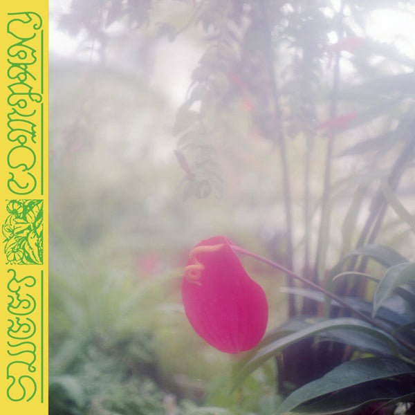 JABU - Sweet Company |