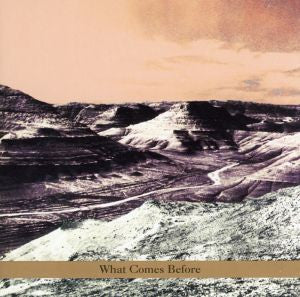 Goldberg / Schott / Sarin Trio - What Comes Before (CD) | Mint (M) Mint (M) - JAZZ *NEW*