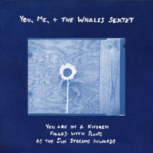 (PRESALE 6/5/26) You are in a Kitchen Filled with Plants as the Sun... (VINYL) | Mint (M) Mint (M) - JAZZ *NEW*