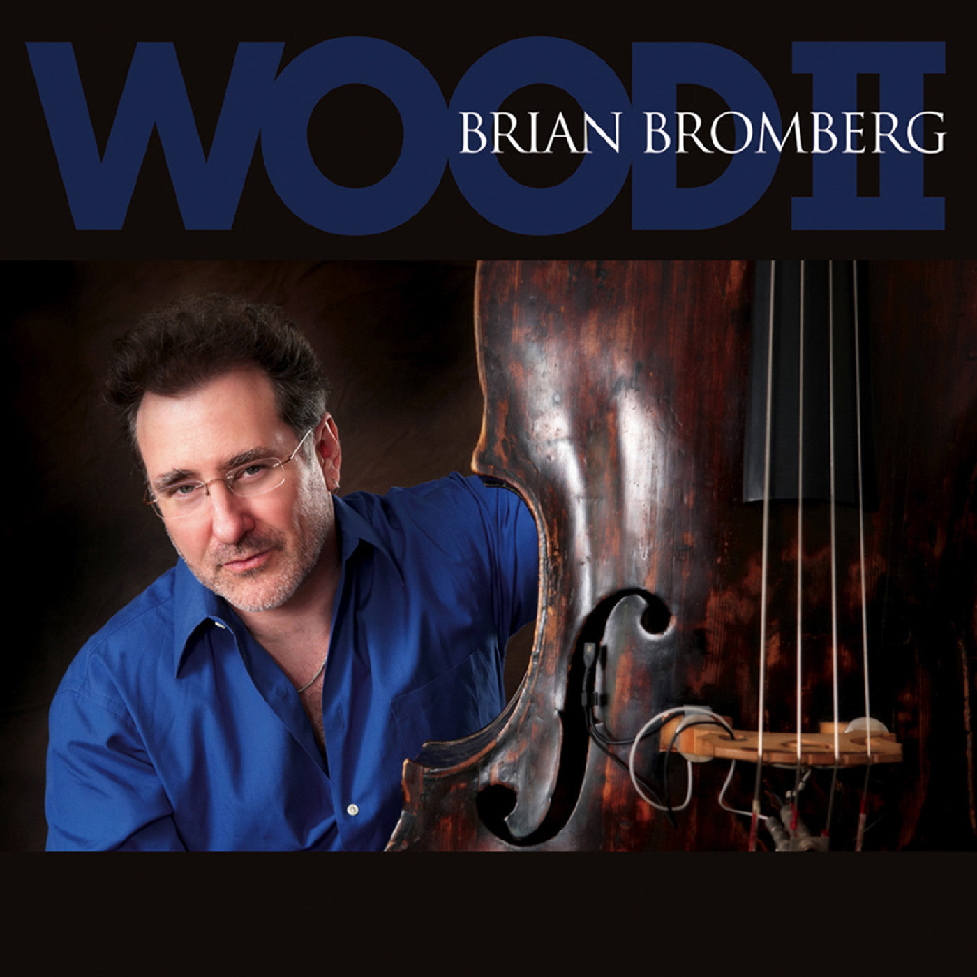 Bromberg, Brian - Wood II (CD) | - JAZZ *NEW*
