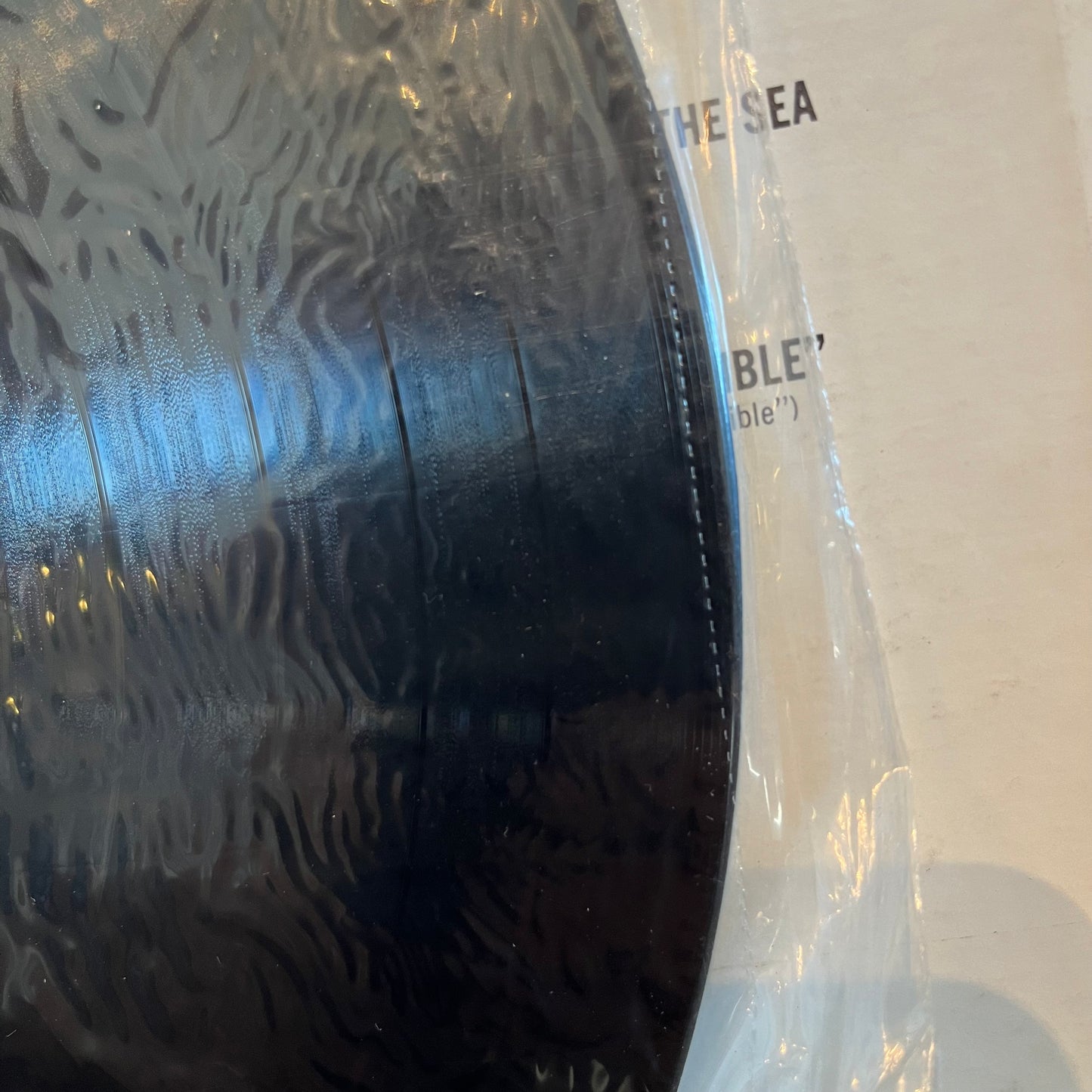 Born Free *SEALED* | Mint (M) Near Mint (NM)