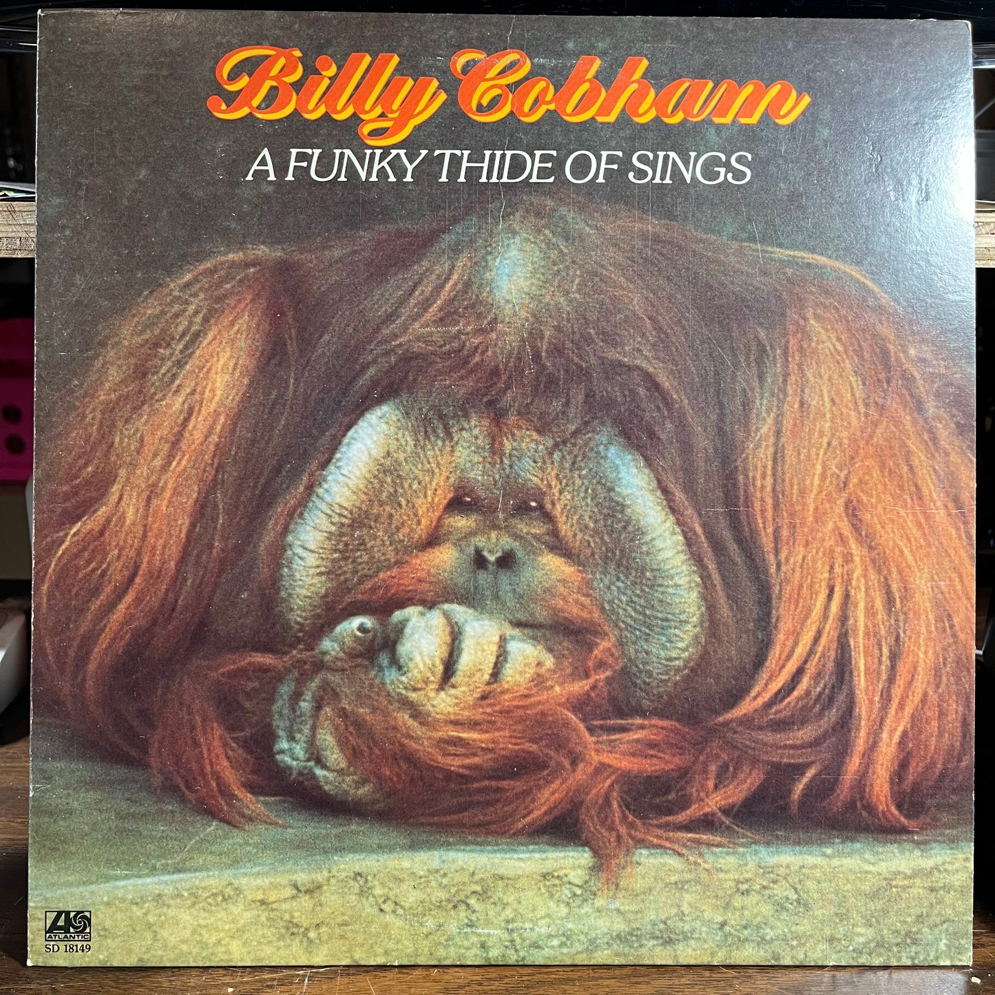 A Funky Thide Of Sings (VINYL) | Near Mint- (NM-) Excellent+ (EX+) - JAZZ / USED *NEAR MINT-*