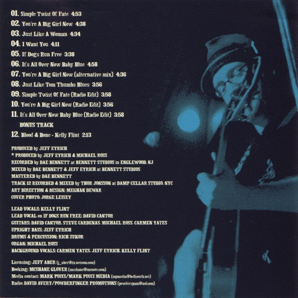 Simple Twist Of Fate (CD) | Near Mint- (NM-) Near Mint- (NM-) - JAZZ / USED *NEAR MINT-*