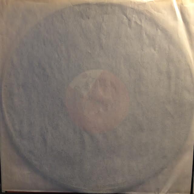 Permissive Polyphonics (VINYL) | Near Mint (NM or M-) Near Mint (NM or M-) - JAZZ / USED *NEAR MINT*