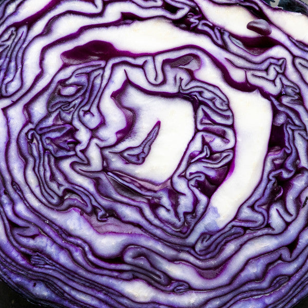 Greatest Hits 1.0 | Mint (M) Mint (M)