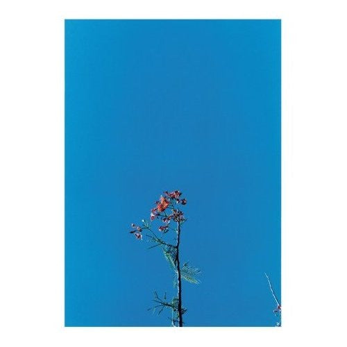 Joanna Newsom & The Ys Street Band E.P. | Mint (M) Mint (M)