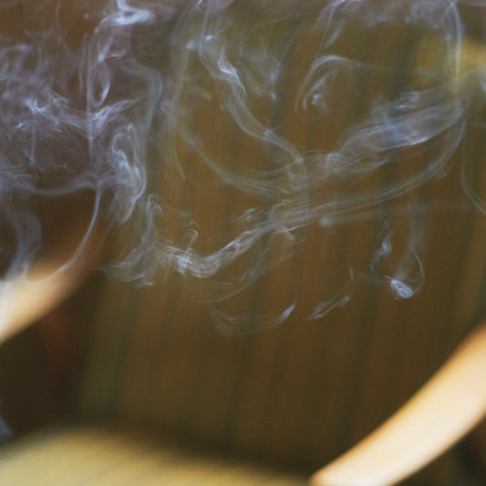 Las Camelias, Tres Esquinas (VINYL) | Mint (M) Mint (M) - EXPERIMENTAL *NEW*