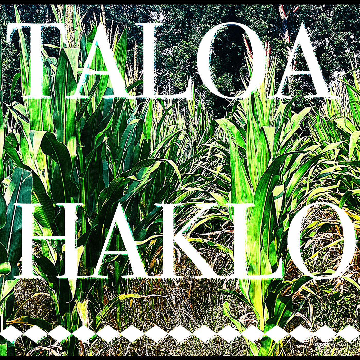 Taloa Haklo |