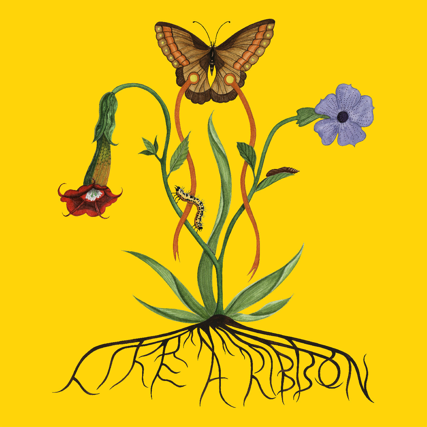 Like A Ribbon |