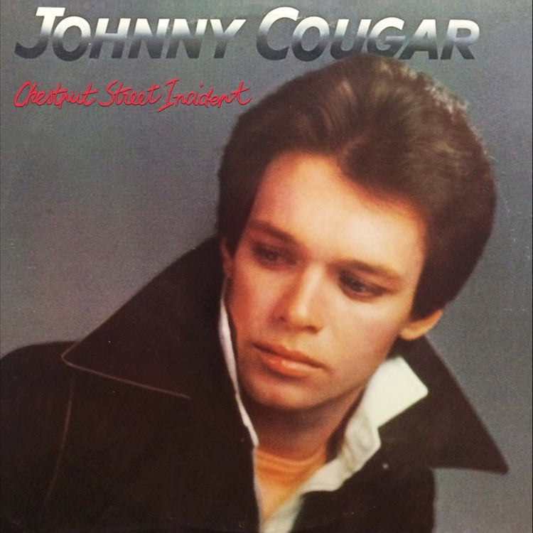John Mellencamp - Chestnut Street Incident |