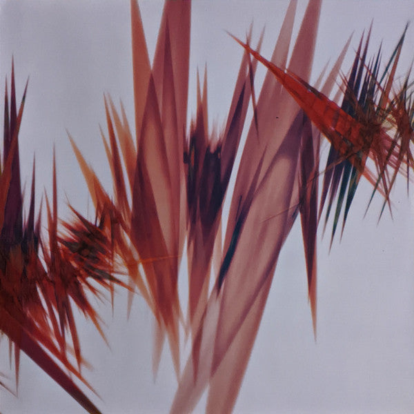 Immunity | Mint (M) Mint (M) - DOWNTEMPO *SEALED*