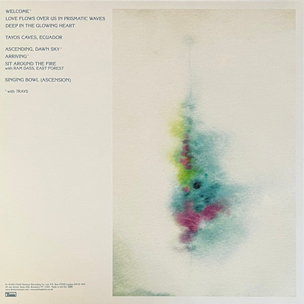 Music For Psychedelic Therapy | Mint (M) Mint (M) - AMBIENT *SEALED*