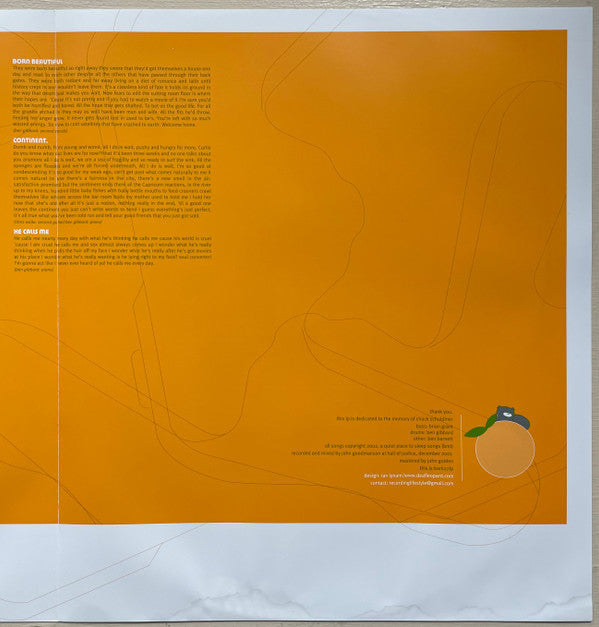 Bridges Worth Burning | Mint (M) Mint (M) - ALT/INDIE *SEALED*