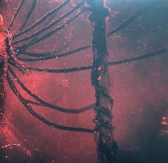 Kyle Dixon (2) & Michael Stein (9) Stranger Things 4 · Volume Two (Original Score From The Netflix Series) Lakeshore Records, Invada, Netflix 2xLP, Album, Red Mint (M) Mint (M)
