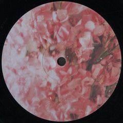 Lake People Phase Transition Mule Musiq 2xLP, Album Mint (M) Mint (M)