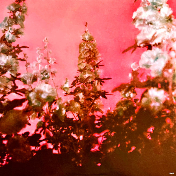 Did You Know That There's A Tunnel Under Ocean Blvd | Mint (M) Mint (M) - POP *NEW/SEALED*