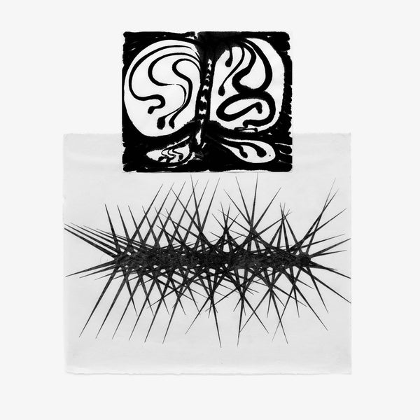 Halos of Perception |