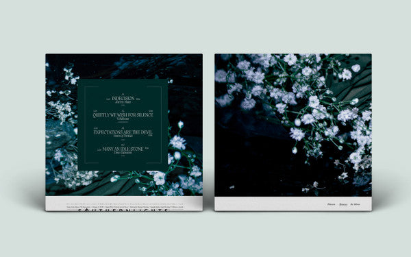 Between The Silence Remixes | Mint (M) Near Mint (NM) - TECHNO