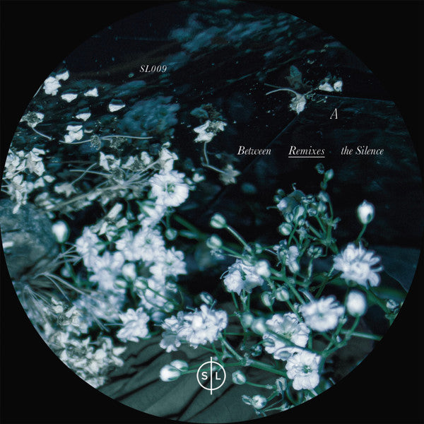 Between The Silence Remixes | Mint (M) Near Mint (NM) - TECHNO