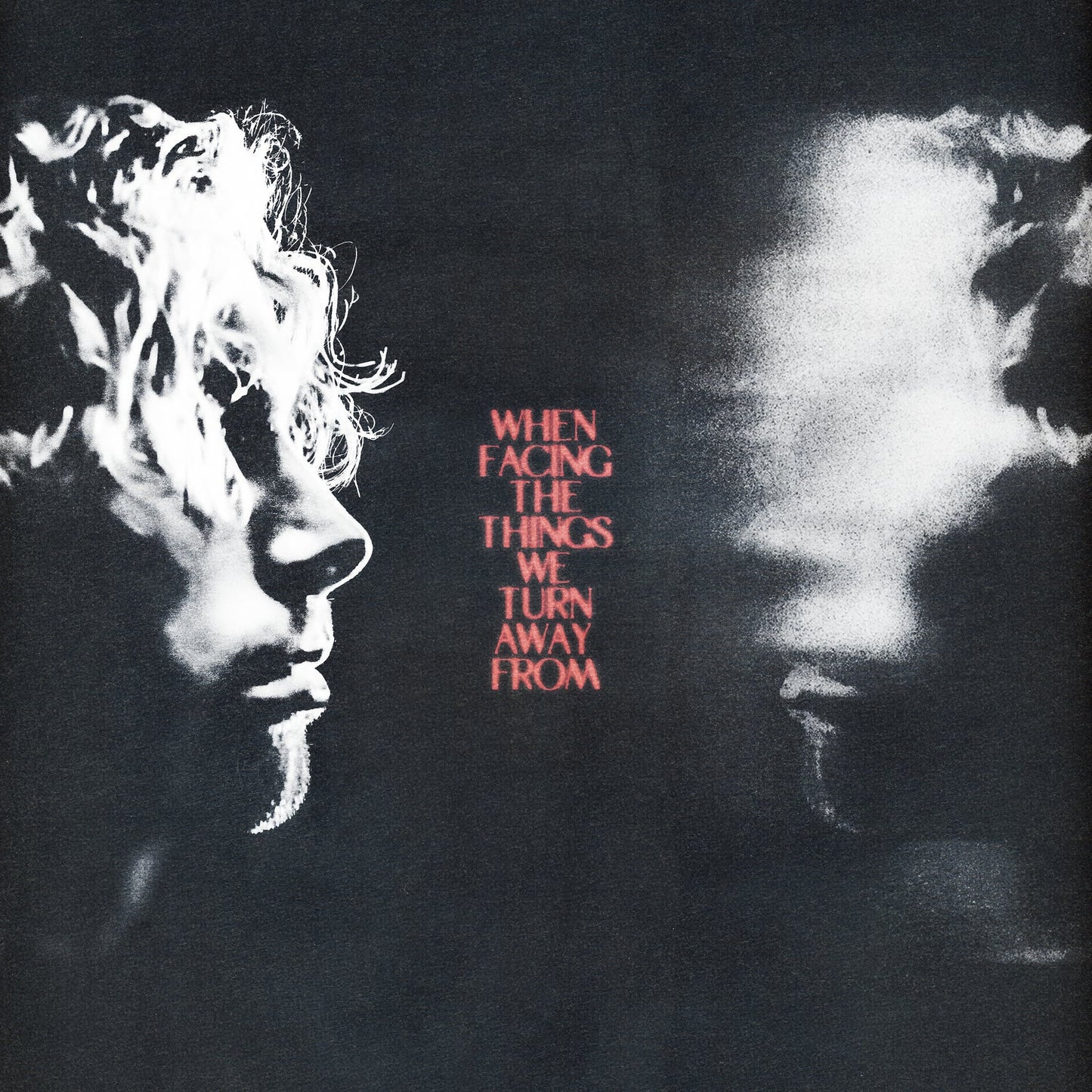 When Facing The Things We Turn Away From (Gatefold LP Jacket, 150 Gram Vinyl) |