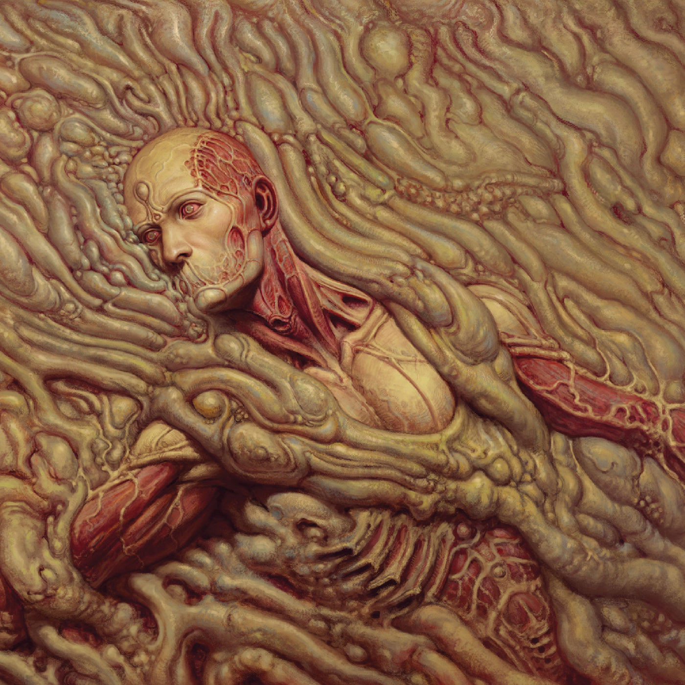 Lustmord and Aethek - Scorn |