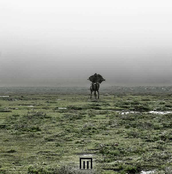 Figure In Field |