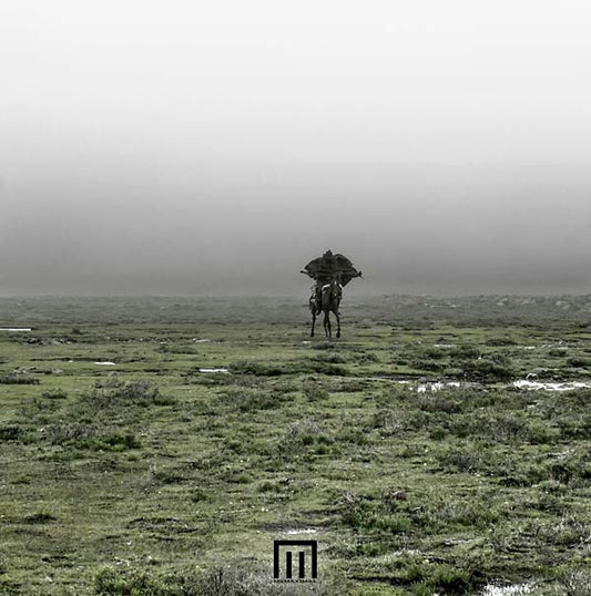 Figure In Field |