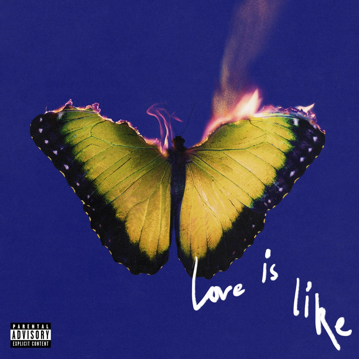 Love Is Like (Indie Exclusive) (Electric Blue Transparent Vinyl) |