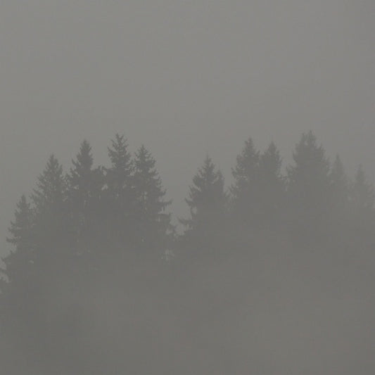 Donnerwetter |