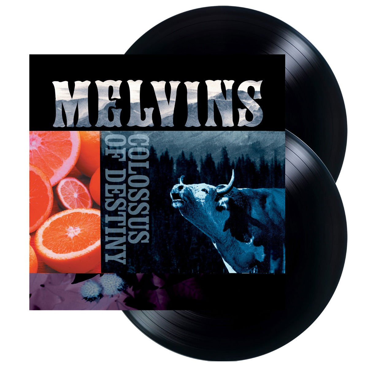 Colossus Of Destiny (2LP Vinyl Reissue) |