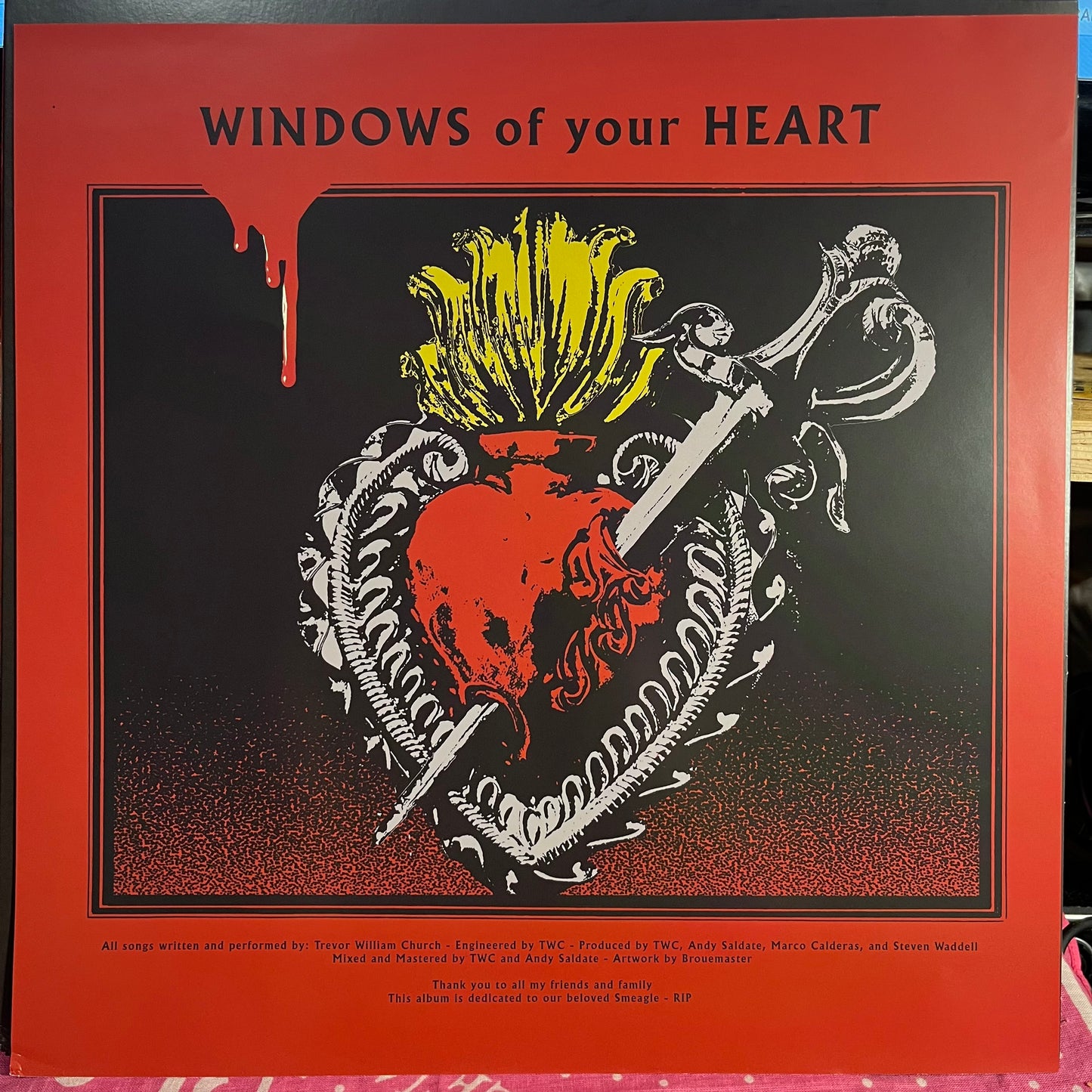Windows Of Your Heart *HALF BLACK/CLEAR RED SPLATTER* | Mint (M) Near Mint (NM)