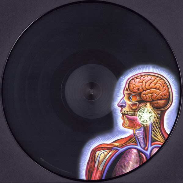 Lateralus | Mint (M) Mint (M) - METAL *PICTURE DISC*