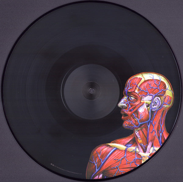Lateralus | Mint (M) Mint (M) - METAL *PICTURE DISC*