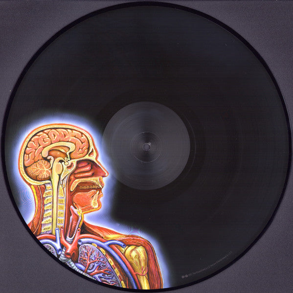 Lateralus | Mint (M) Mint (M) - METAL *PICTURE DISC*
