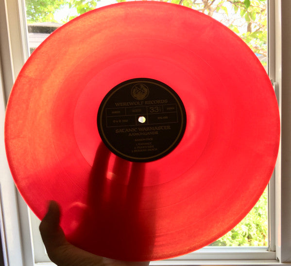 Aamongandr (VINYL) | Near Mint (NM) Near Mint (NM) - METAL / USED *NEAR MINT*