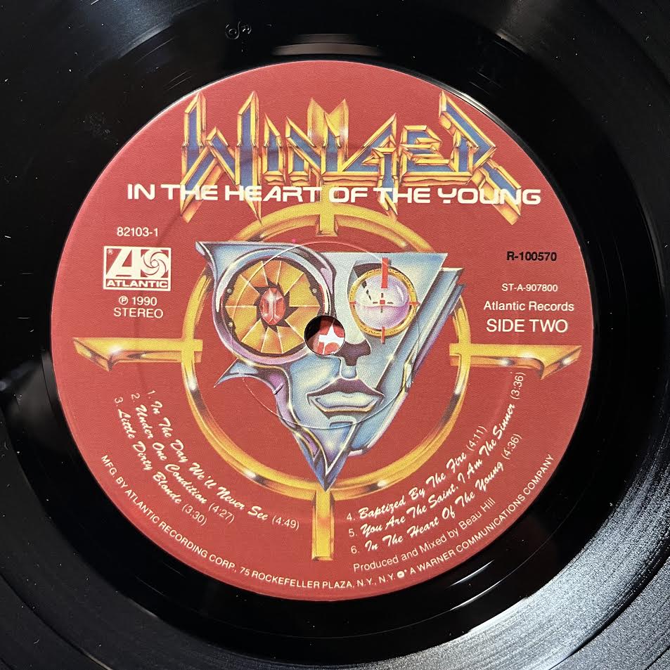 In The Heart Of The Young (VINYL) | Near Mint (NM or M-) Near Mint (NM or M-) - METAL / USED *NEAR MINT*
