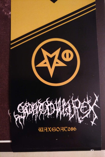 Carelian Satanist Madness (Instrumental Raw Mix) (*NO OBI* VINYL) | Near Mint (NM) Near Mint (NM) - METAL / USED *NEAR MINT*