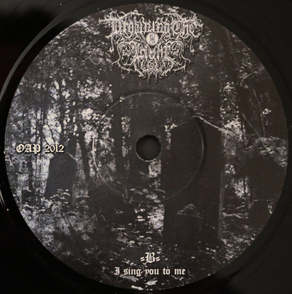 Dead Soul Requiem (7") | Near Mint (NM or M-) Near Mint (NM) - METAL / USED *NEAR MINT*