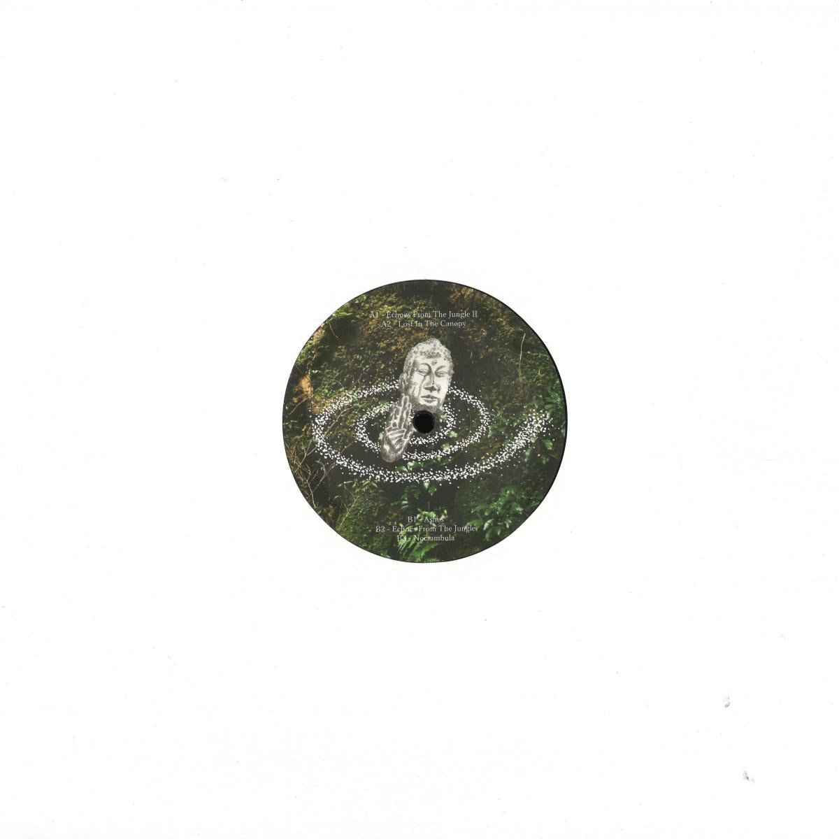 Richer - (PRESALE TBD) Temple Of Esquinox EP (VINYL 12" Voiceless VLS14) | NEW Mint (M) Mint (M) - MINIMAL *NEW*