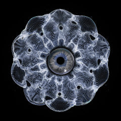 Hypnotizin EP (PRE-ORDER TBA)(VINYL) | Mint (M) Mint (M) - MINIMAL *NEW*