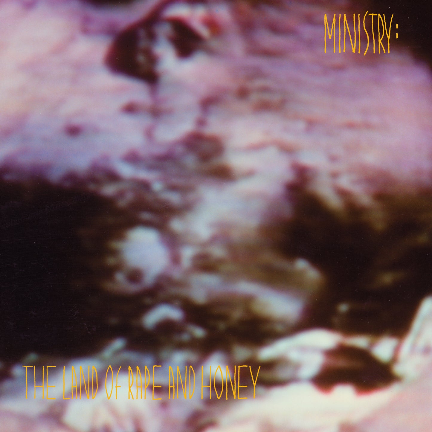 The Land Of Rape And Honey (Deluxe Edition, Brick & Mortar Exclusive) (2 Lp) | Mint (M) Mint (M) - METAL *SEALED*