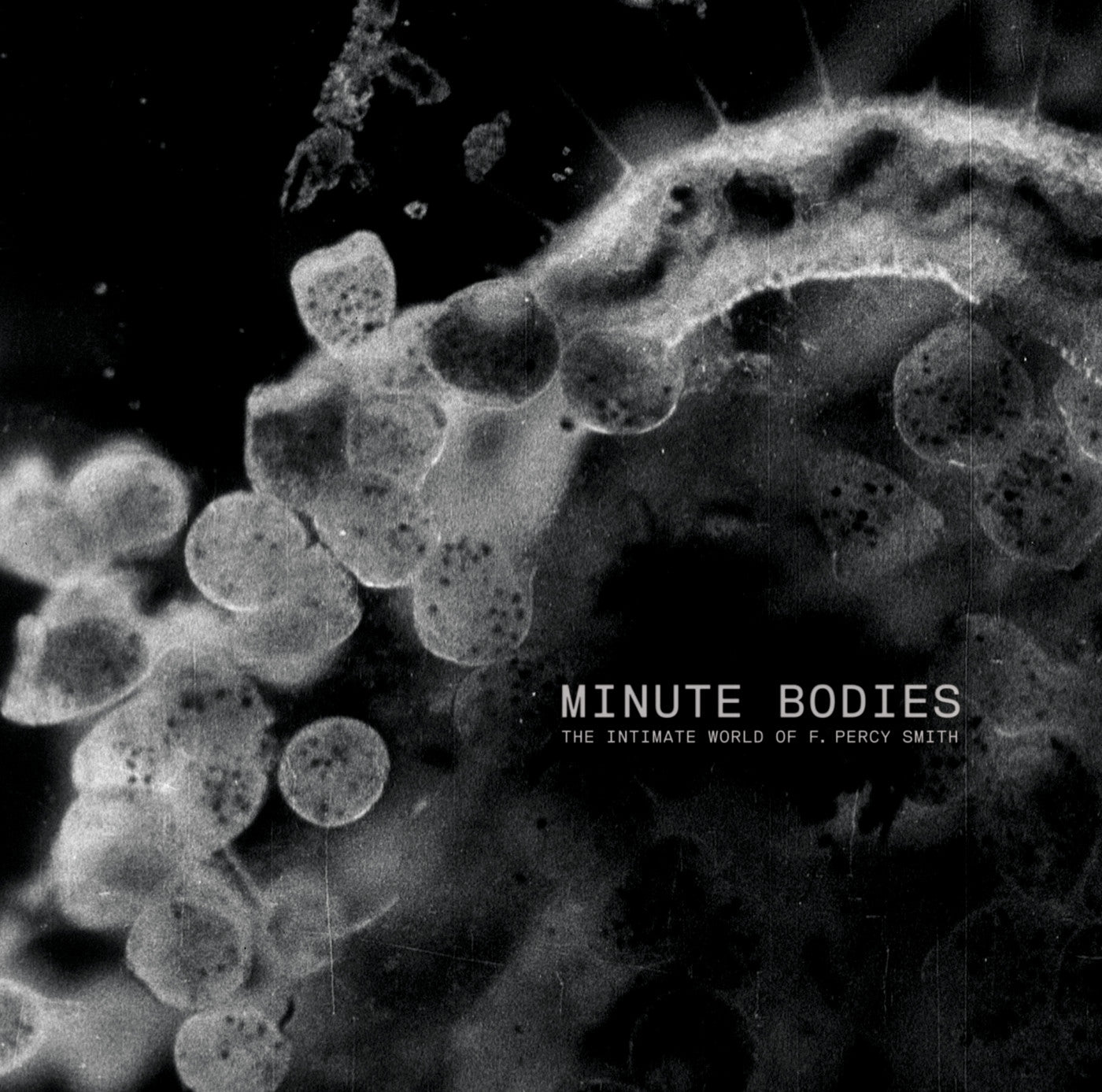 Tindersticks - Minute Bodies: The Intimate World of F. Percy Smith (CD) |