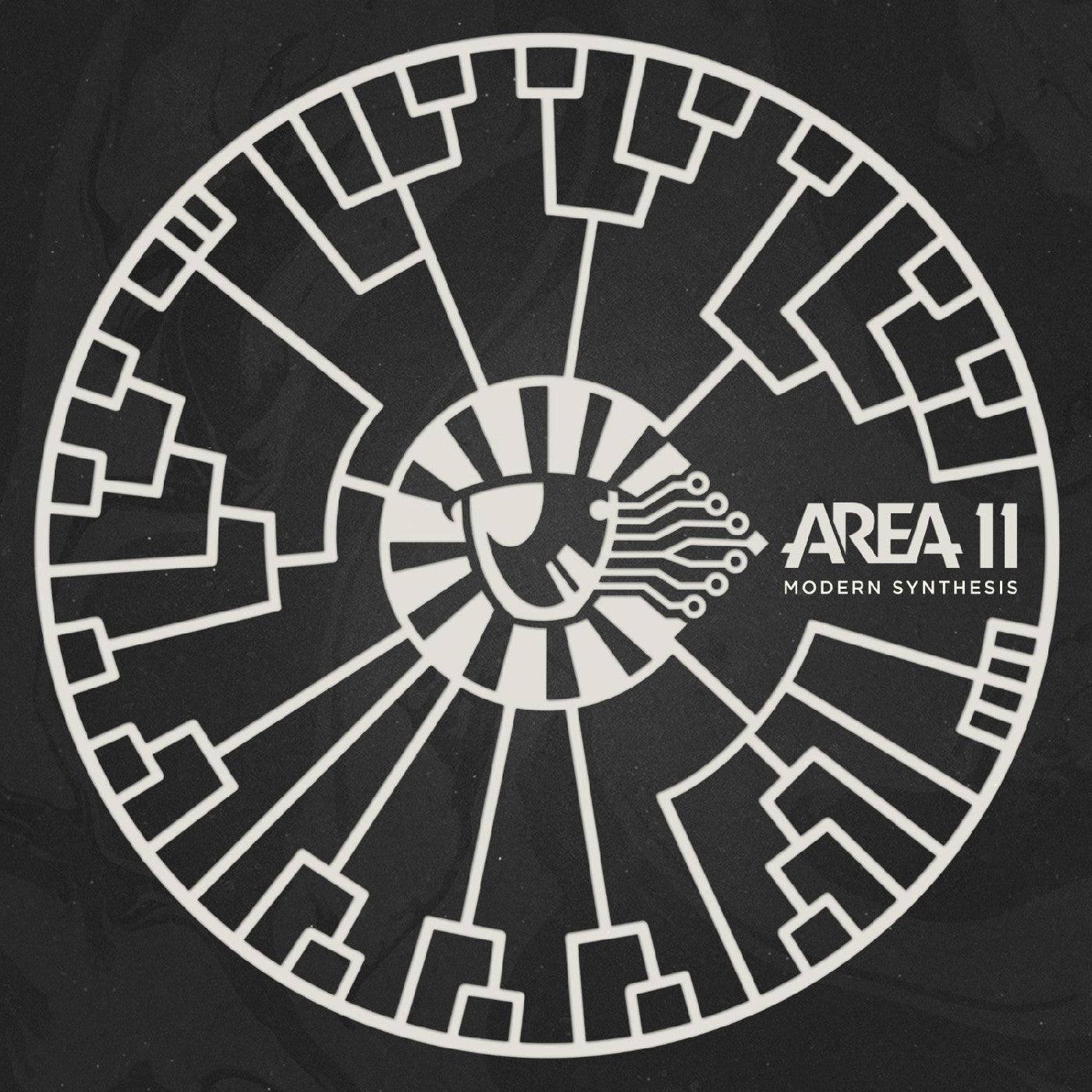 Area 11 - Modern Synthesis |